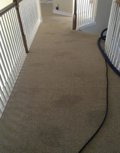 carpet cleaning service -Dieterscarpettilecleaning Gallery 2 Before