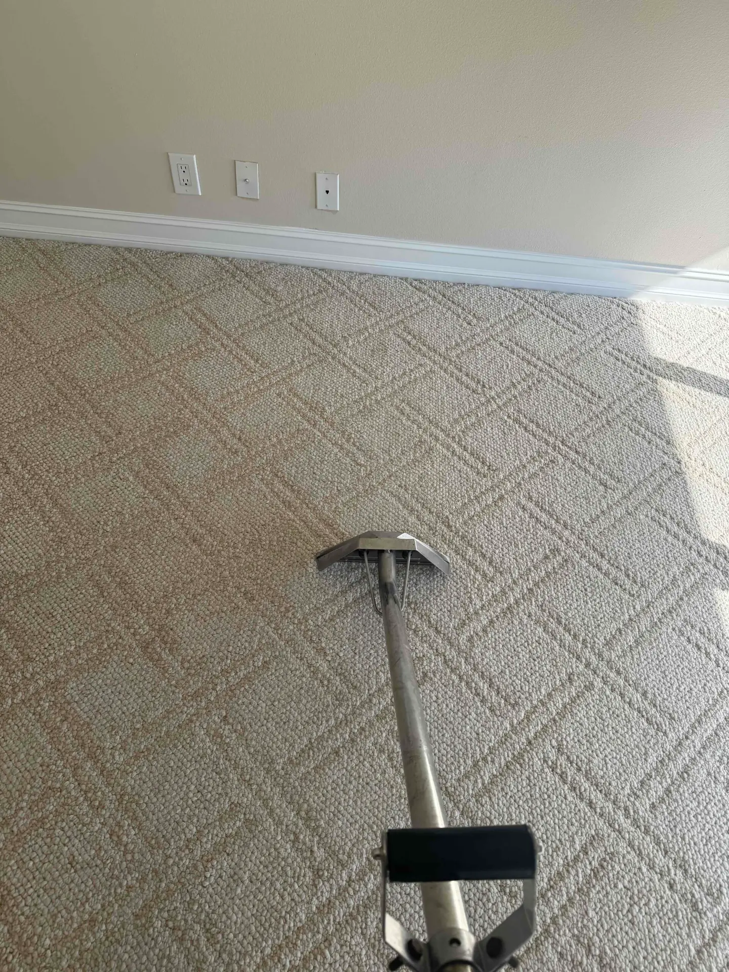 Trusted & Reliable South Florida Carpet Cleaning | 30+ Years