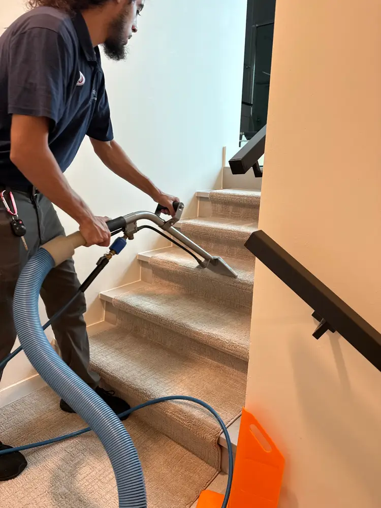 Steam cleaning a luxury home stair runner in Fort Lauderdale to refresh and restore the carpet fibers